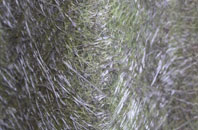 Baxterley fibreglass roof work